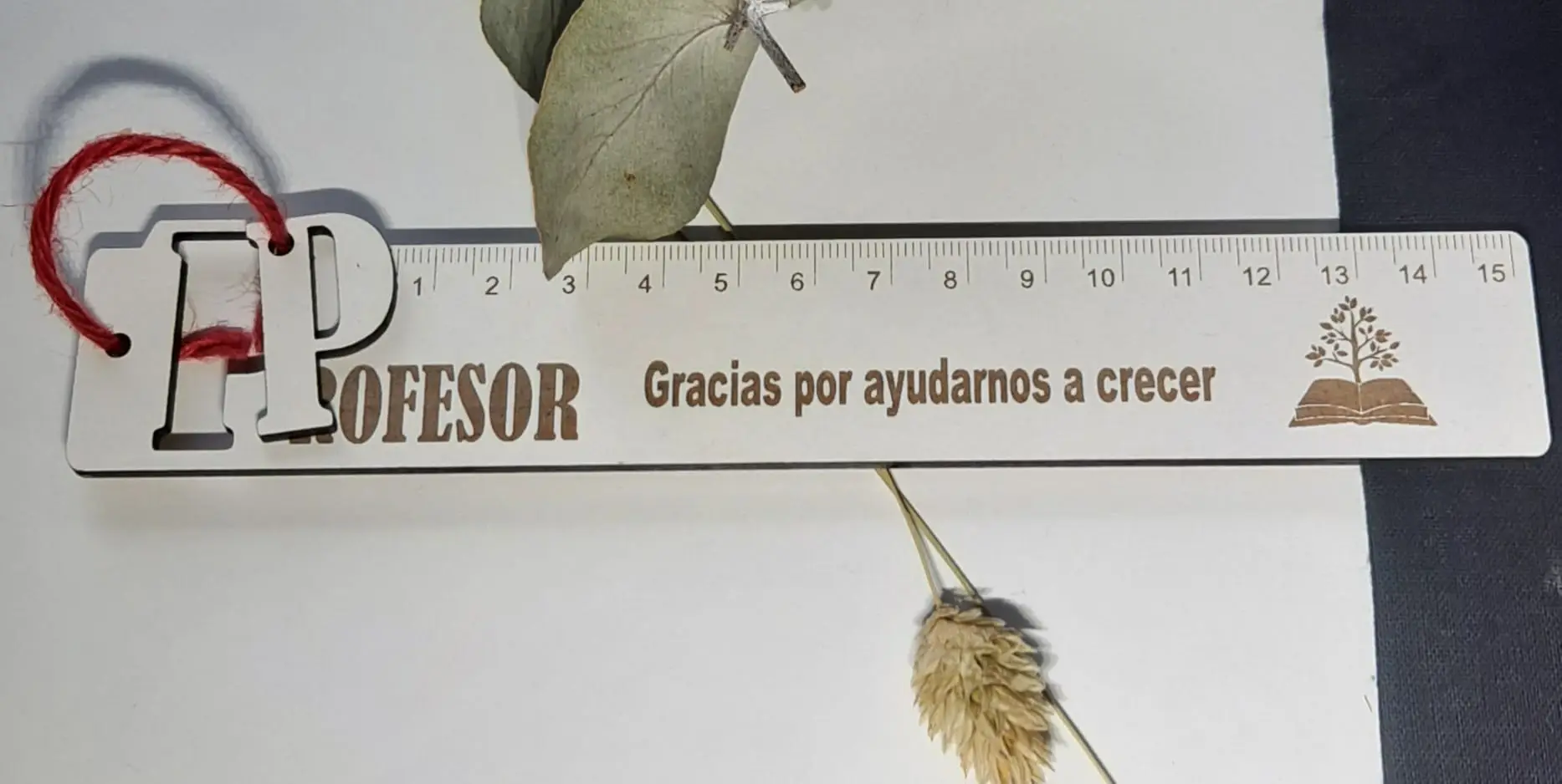 Pack regalo profesor totebag + portalápiz con regla y bolígrafo bambú - Imagen 9